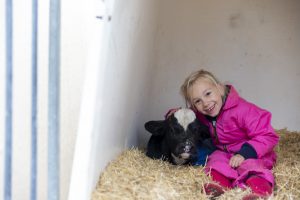 Koetjes & Kalfjes Kinderopvang Someren