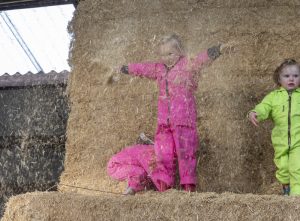 Koetjes en Kalfjes - Kinderopvang Someren